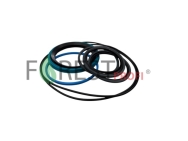 Kit garnituri rotator hidraulic Indexator GV12